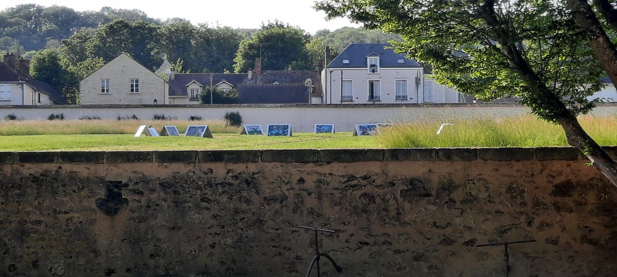 RCME91's tweet photo. Le RCME met à l’honneur les photographes qui suivent les rencontres des joueurs professionnels et équipes jeunes depuis plusieurs années en créant une exposition 📸

Une première présentation a eu lieu au Domaine de Chamarande. La prochaine exposition sera le 29 juillet 🗓️ https://t.co/kNjydCTP1I