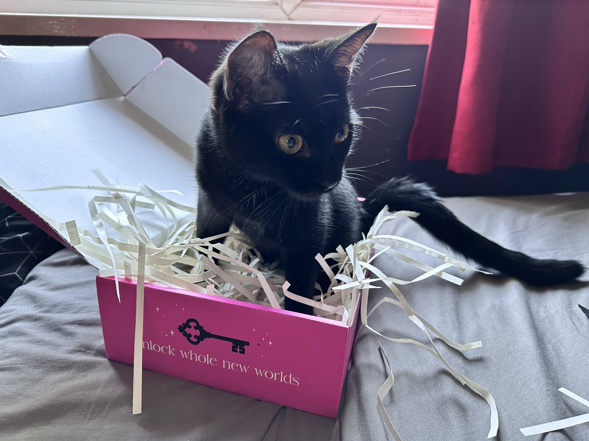 darkangelraine's tweet image. Well Luna doesn’t seem to understand unboxing videos or have the patience to wait for me to finish. 

She’s enjoying all the contents of my #lockedlibrary box aside from the book which I safely rescued! 😂