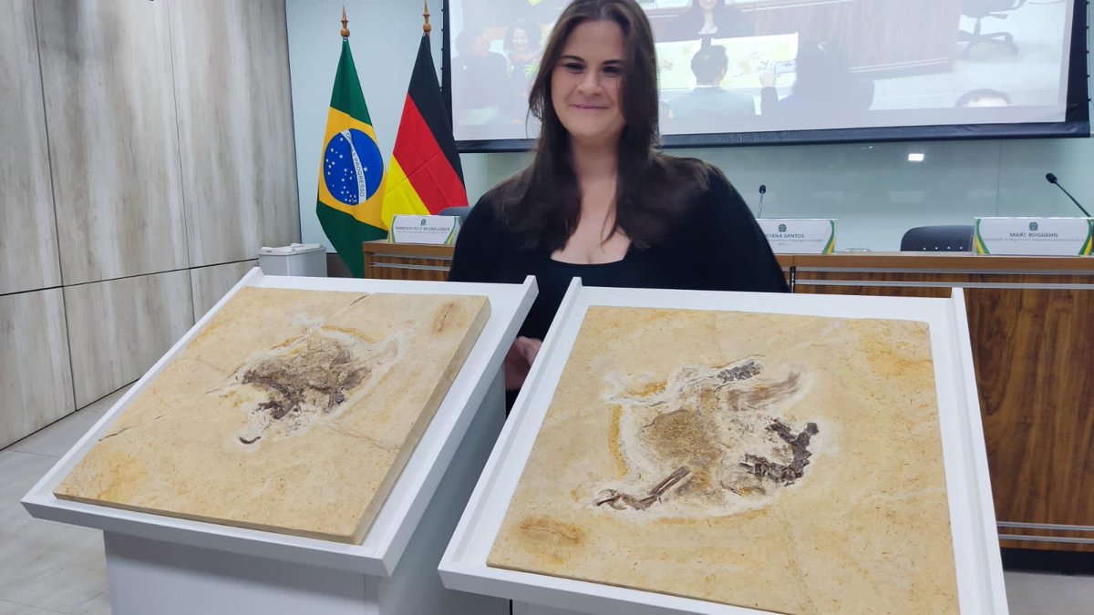 alinemghilardi's tweet photo. Ele é linnndooooo!!! 🤩
Muito feliz por ontem!!! Essa é uma conquista da sociedade civil agindo em conjunto. 
Essa conquista é de VOCÊS! Que compartilharam, que lutaram, que brigaram em torno do tema. Nós somos fortes! Nós fomos GIGANTES!! E vale a pena lutar. https://t.co/upt6c4FQrU
