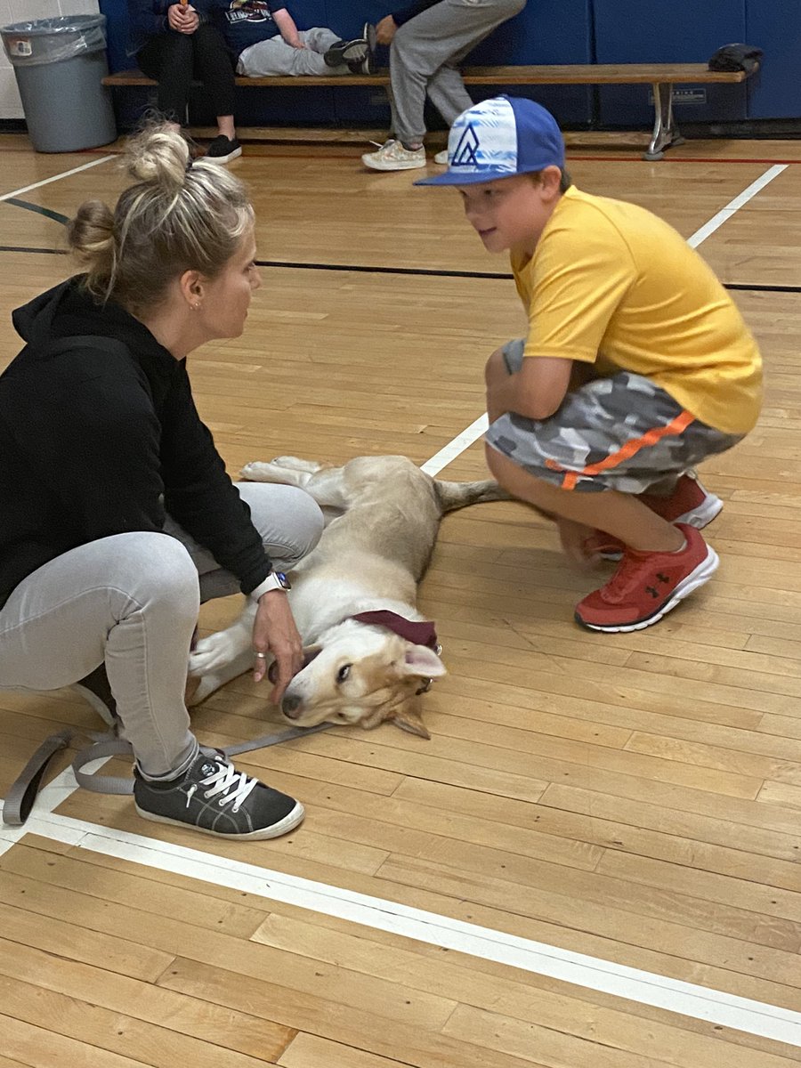 k8createavon's tweet photo. Thank you Amy for a great visit @AvonPS 
 @OSPCA #StratfordHumaneSociety https://t.co/OMQNp6Q6eD