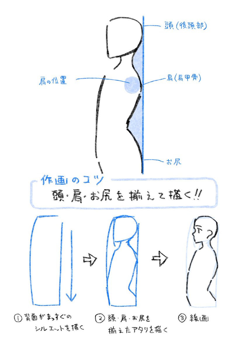 【きほん】と【実践】でわかりやすい!  TIPS【横から見た身体】 横から見た身体は会話など二人以上が関わるシーンで描くことが多いポーズです。 ポイントをおさえて違和感をなくそう!  さらに詳しい解説はこちら▼▼▼ https://xfoxyfox.fanbox.cc/posts/6084941