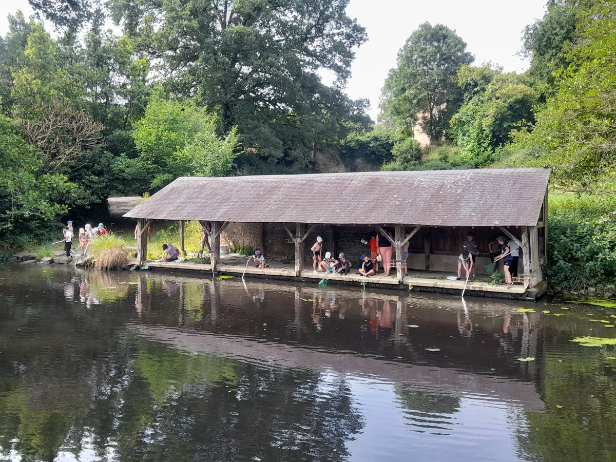 💧 Journée de l'eau avec l'es élèves de l'école Ste Marie de <a href="/MERAL_France/">Commune de MÉRAL 🇫🇷</a> encadré par les bénévoles de la société de Pêche de Méral et 1 intervenant de l'asso Mayenne Nature Environnement 
Au programme : pêche, découverte de la faune et flore autour du plan d'eau
🧚🦋🐟🌿🐸🎋🌱