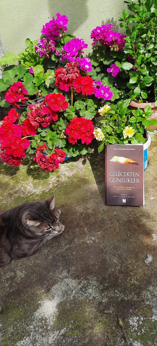 Eda Çetin tweet media