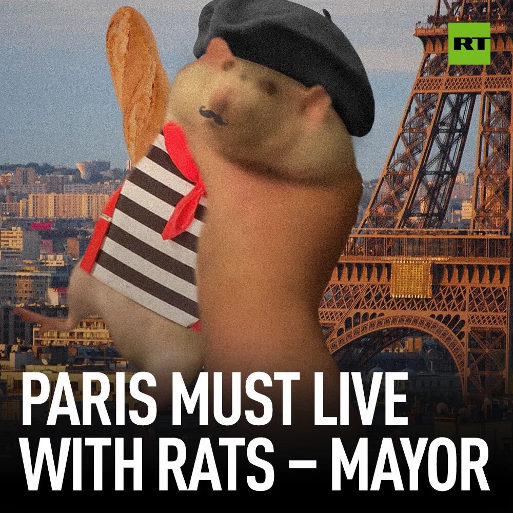 Paris is exploring an alternative to dealing with the city’s rat problem: not dealing with the city’s rat problem

Read: on.rt.com/cdx5