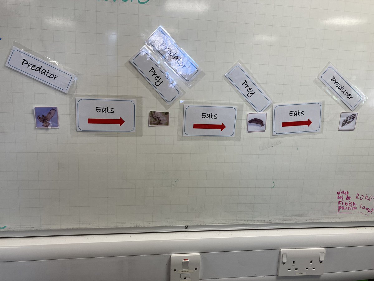 Meltham Moor Primary tweet media