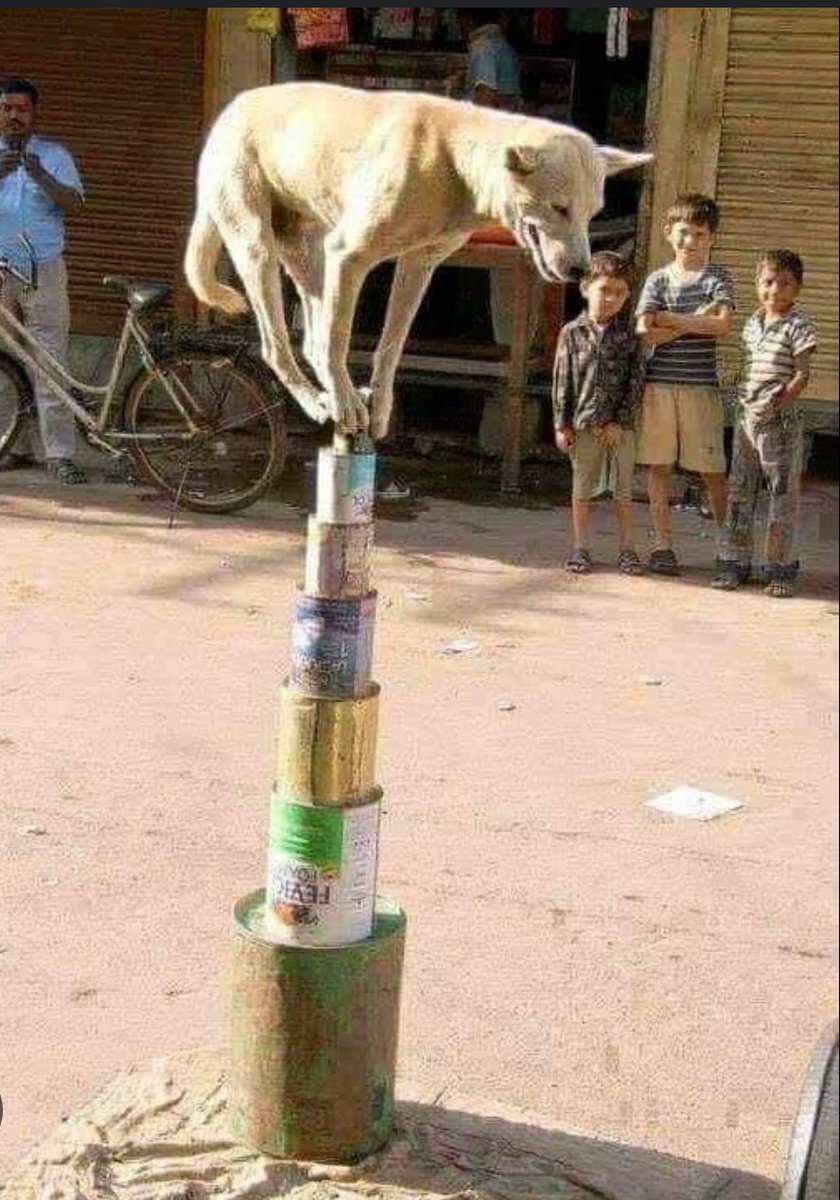 بندیال ڈٹ کہ کھڑا ہے🤣🤣