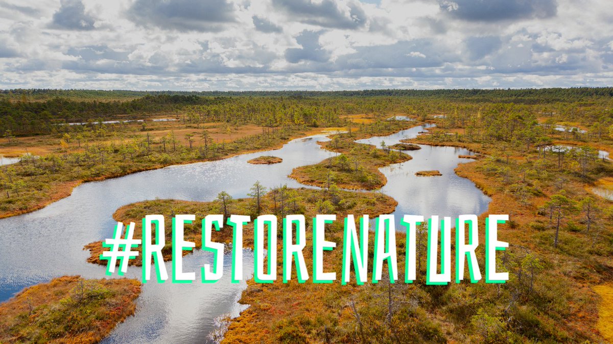 WetlandsEurope's tweet image. 52 organisations concerned about the state of nature #wetlands have signed an open letter to @EP_President &amp;amp; @sweden2023eu calling for the adoption of a strong EU law to #RestoreNature &amp;amp; ambitious #peatlands restoration targets. 

Read the letter: europe.wetlands.org/publications/o…