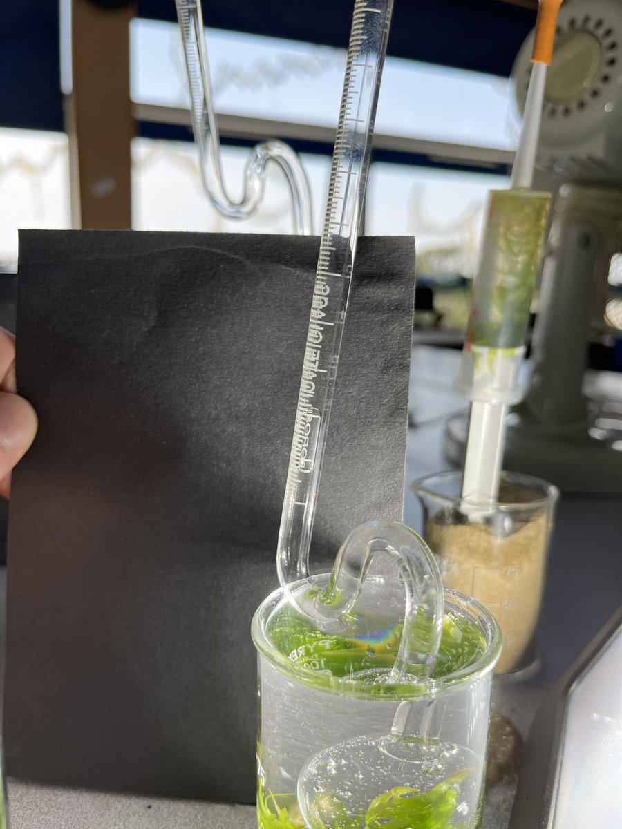 Jon Hale tweet media