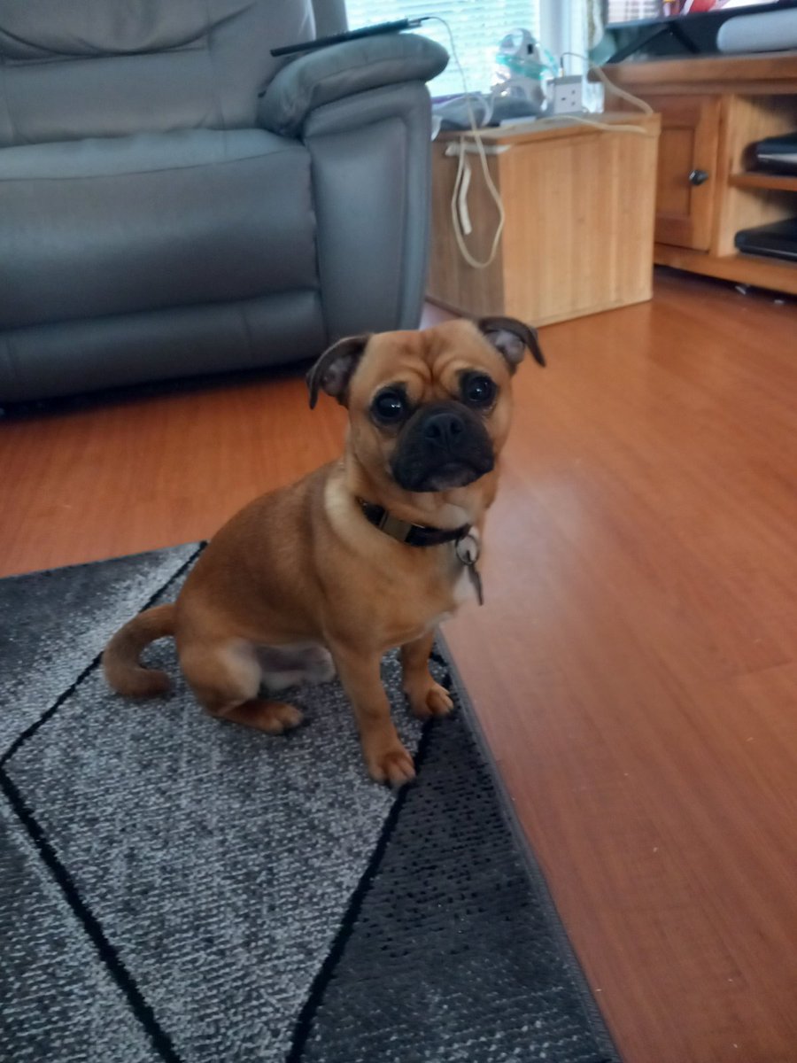 faerieshelly's tweet image. Got sent a good morning mummy pic from Cooper 😍 I just want to kiss his face. Miss him so much!