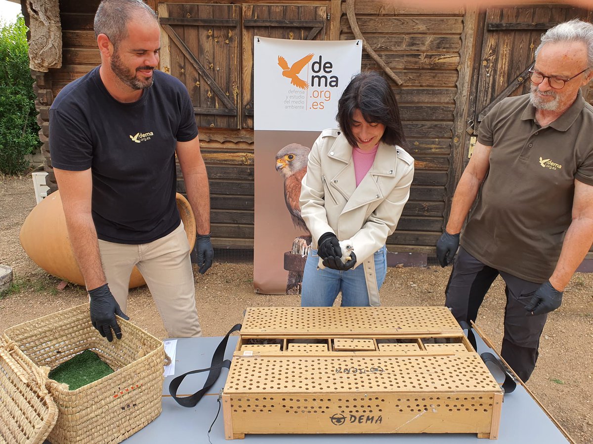 Radio Comarca de Barros - Almendralejo tweet media