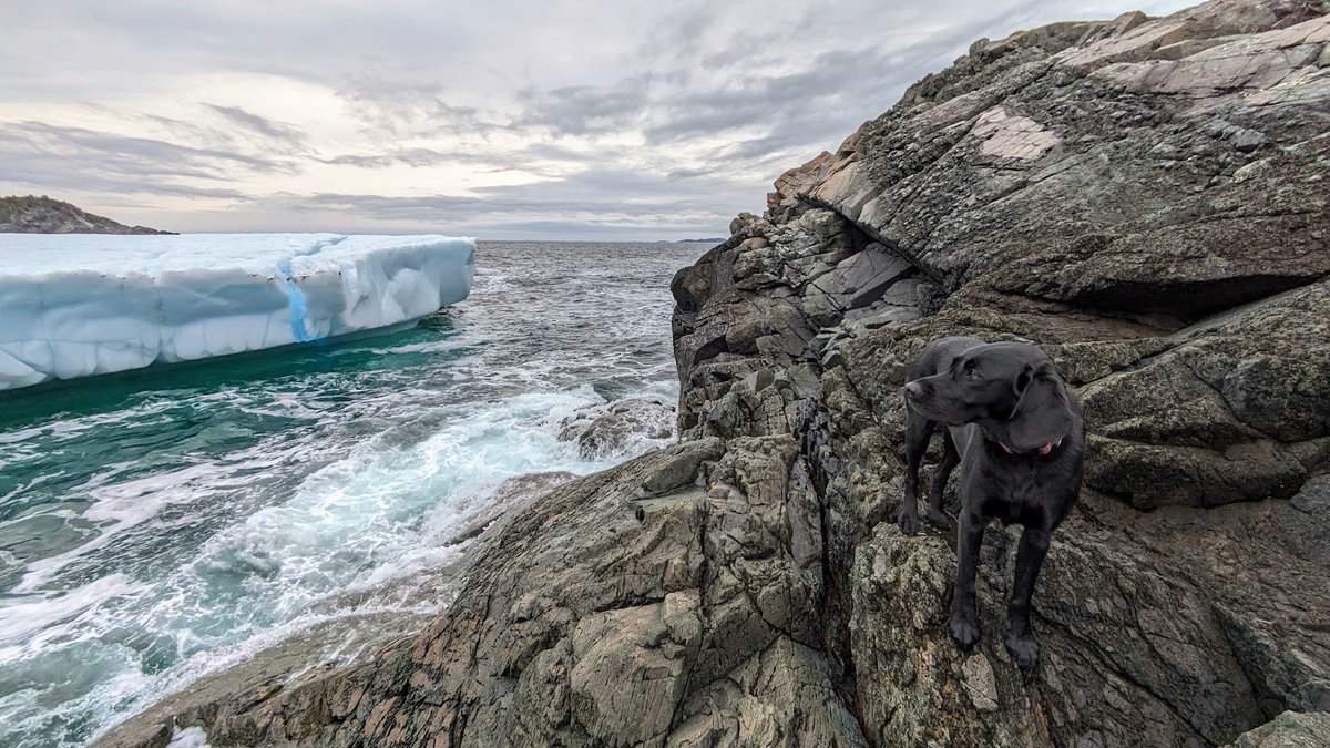 Little Bay Islands #newfoundland #nlwx #iceberg