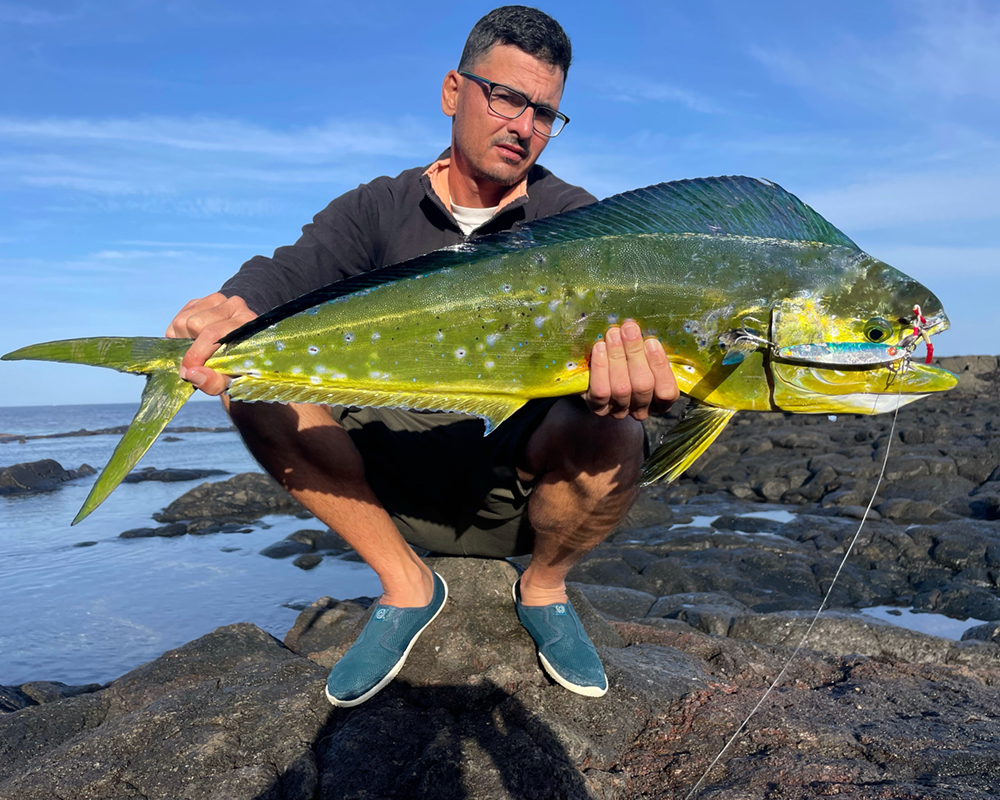 Leppa Jig per Dani Guerra!!!
seaspin.com

#seaspin #utopiatackle #lures #saltwaterfishing #spinning #fishinglures #fishingtackle #fishing #bigfish #seafishing