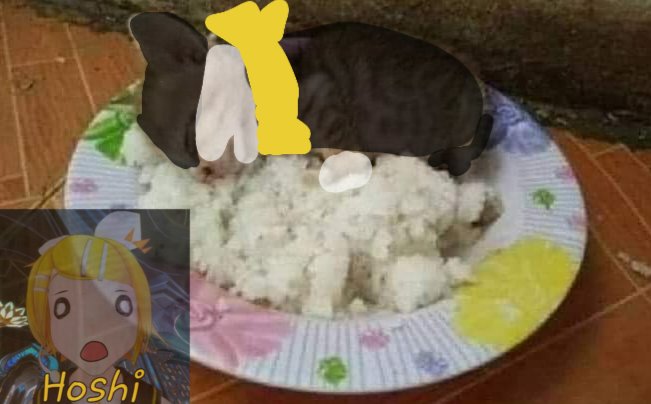 HoshiKawakami's tweet photo. Morgana MOMENTO #Persona5Royal #Memes #Persona5memes https://t.co/ZNxsUjzCkj