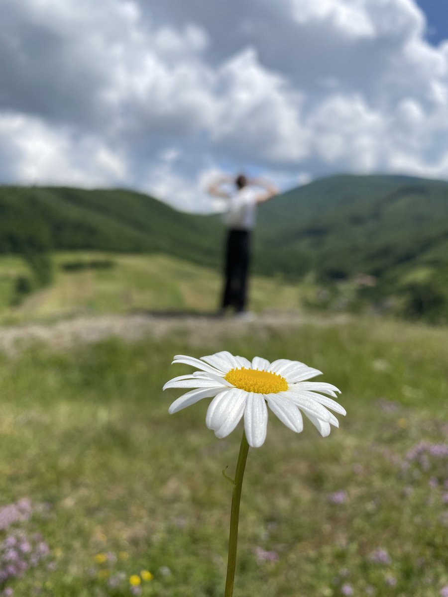 Just had an incredible time in the Carpathian Mountains. No sirens or air raid alarms, just pure tranquility and breathtaking nature to recharge. And a pic by my mom as a bonus))