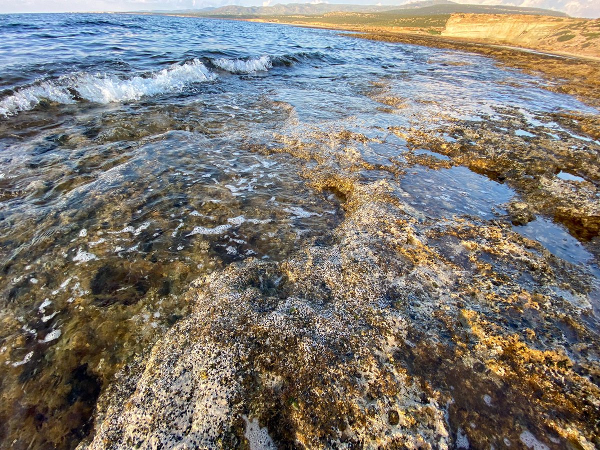 Athanasios Nikolaou tweet media