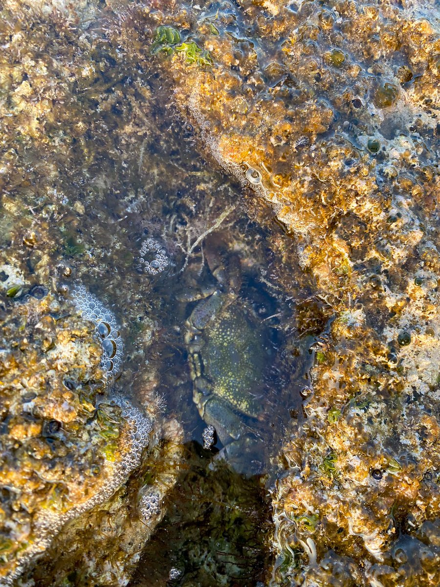 Athanasios Nikolaou tweet media