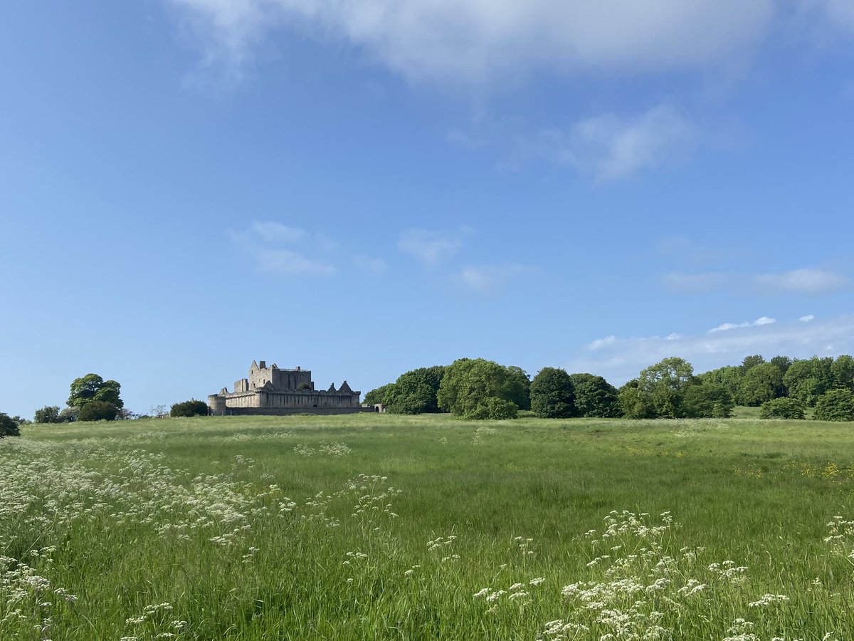 Fiona Clandillon tweet media