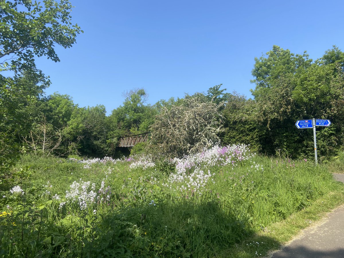 Fiona Clandillon tweet media