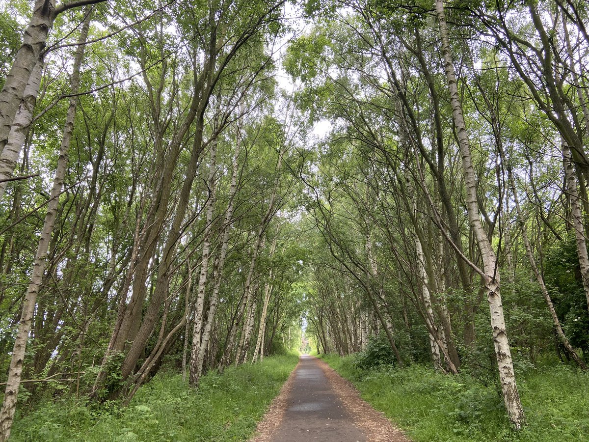 Fiona Clandillon tweet media