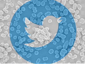 Do you like Twitter and study antibiotic resistance? Well check out the latest from our lab, we explore the drivers of engagement with AMR content on twitter and reveal how the wording and length of your paper title can dx.doi.org/10.2196/42363