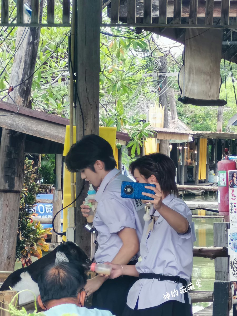 lilyoy0131's tweet photo. Cai Xukun is really cute, he took so many baby bottles, so so many 🍼 Can you trick Kun home🤭
#WelcomeCaiXukuntoThailand
#KeepRunning #KeepRunningKUN
#CaiXukun #ช่ายสวีคุน #蔡徐坤 #KUN
@CXK_official https://t.co/NgX24T9qNo
