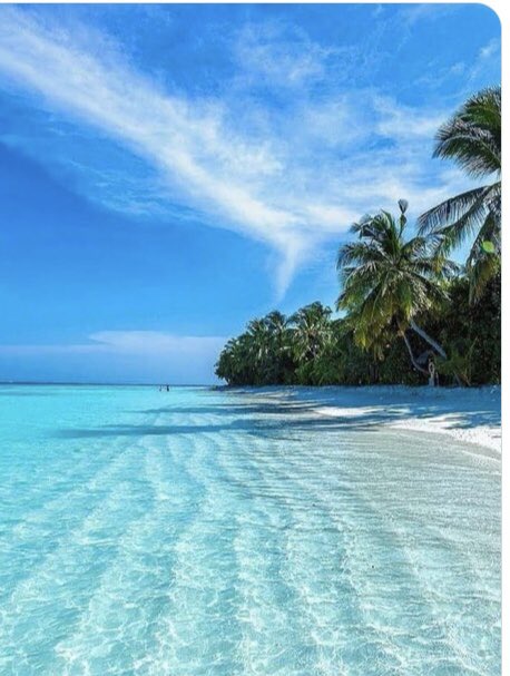 michellesexy13's tweet photo. ❤✾ #CyberLoversBook ✾❤️
THE BEACH BY OUR MUD HUT

🇺🇸 https://t.co/orVPPiIWFt… … … … … … … … … … … …-

🇬🇧 http:// https://t.co/HJEAjfCTLa… … … 
… … …
https://t.co/emXGjSqiki        

#BookBoost
#ASMSG #IARTG #EARTG # https://t.co/44RwwS8mQR