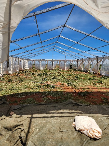 TarpoKenya's tweet image. Check out how we crushed the Rhino Charge 2023 for @RhinoArk 🦏🚗💨

Big shout out to all who participated and donated to this phenomenal cause!  

#MadePossible #RhinoCharge2023 #offroading #photodump