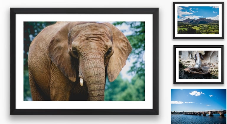 Willgress's tweet photo. Landscape, Photography, Elephant, Wildlife, https://t.co/MlmTX86COA @etsymktgtool @etsymktgtool https://t.co/S21J3W1C6k