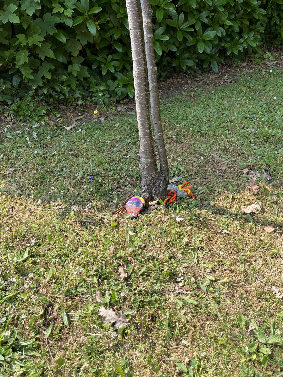 Keep your eyes peeled….are you ready for our school trip tomorrow? Show you’re an expert big hunter by searching for them on the way in this morning 🐞🐛🪲🐜🐝🪱 <a href="/stantonroadps/">Stanton Road Primary</a>  <a href="/OakTreesMAT/">Oak Trees MAT</a>