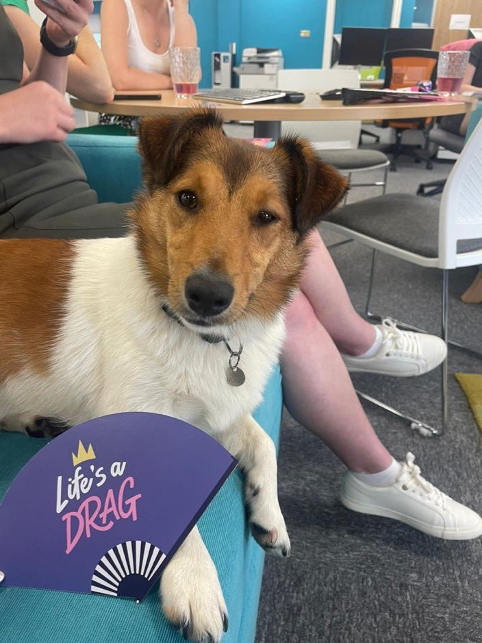 Celebrating #PrideMonth at the agency! Yesterday was drag bingo, hosted by our James, who looked fabulous in 👠👠 Coming up, we have a Pride-themed Lunch and Learn, followed by an LGBTQ+ history quiz

What events does your team have planned for #Pride2023 ?