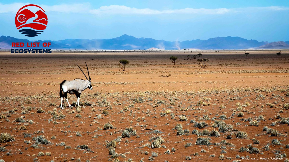 Vulnerable?

Critically Endangered?

The IUCN Red List of Ecosystems determines if an #ecosystem is at risk of collapse.

See how it can guide conservation action bit.ly/3mQN4AW

#KMGBF