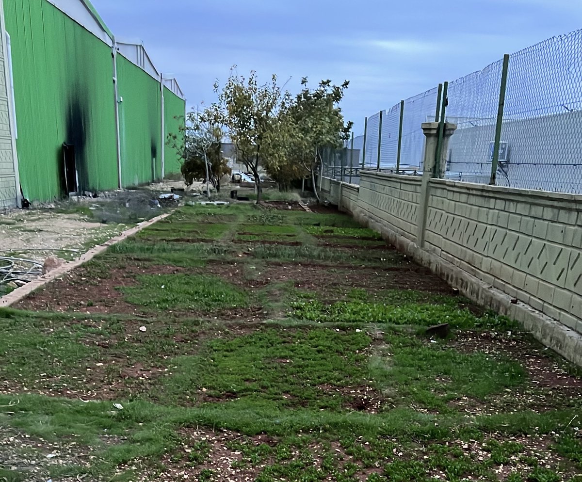 Selamünaleyküm 
Bu gidişle imalatı bırakıp işyerinde 
tarım’la uğraşacak gibiyim…
Hayırlı işler 
Hayırlı bi gün diliyorum 
#şanlıurfa dan selamlar olsun