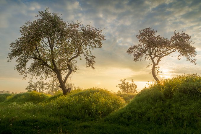 Mooi initiatief van Provincie Zuid-Holland. Zoek jij mee naar plantlocaties waar bomen minstens 100 jaar kunnen worden? 

zuid-holland.nl/actueel/nieuws…
Foto: <a href="/PaulBegijn/">Paul Begijn</a>

<a href="/zuid_holland/">Provincie Zuid-Holland</a> <a href="/LandelijkeNMF/">Natuur en Milieufederaties</a>

#klimaat #VoorEenBetereWereld #biodiversiteit #PlantMeerBomen