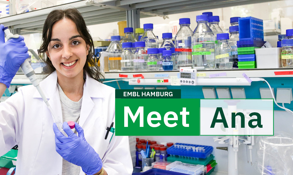 EMBLHamburg's tweet photo. Meet Ana Moura from 🇵🇹, trainee at EMBL Hamburg.

She studies the molecular mechanism enabling tuberculosis bacteria to release compounds into their surrounding.

She is a fan of Sherlock Holmes. His approach to constructing a bigger picture from details inspires her in science. https://t.co/gbsnxJDiyr