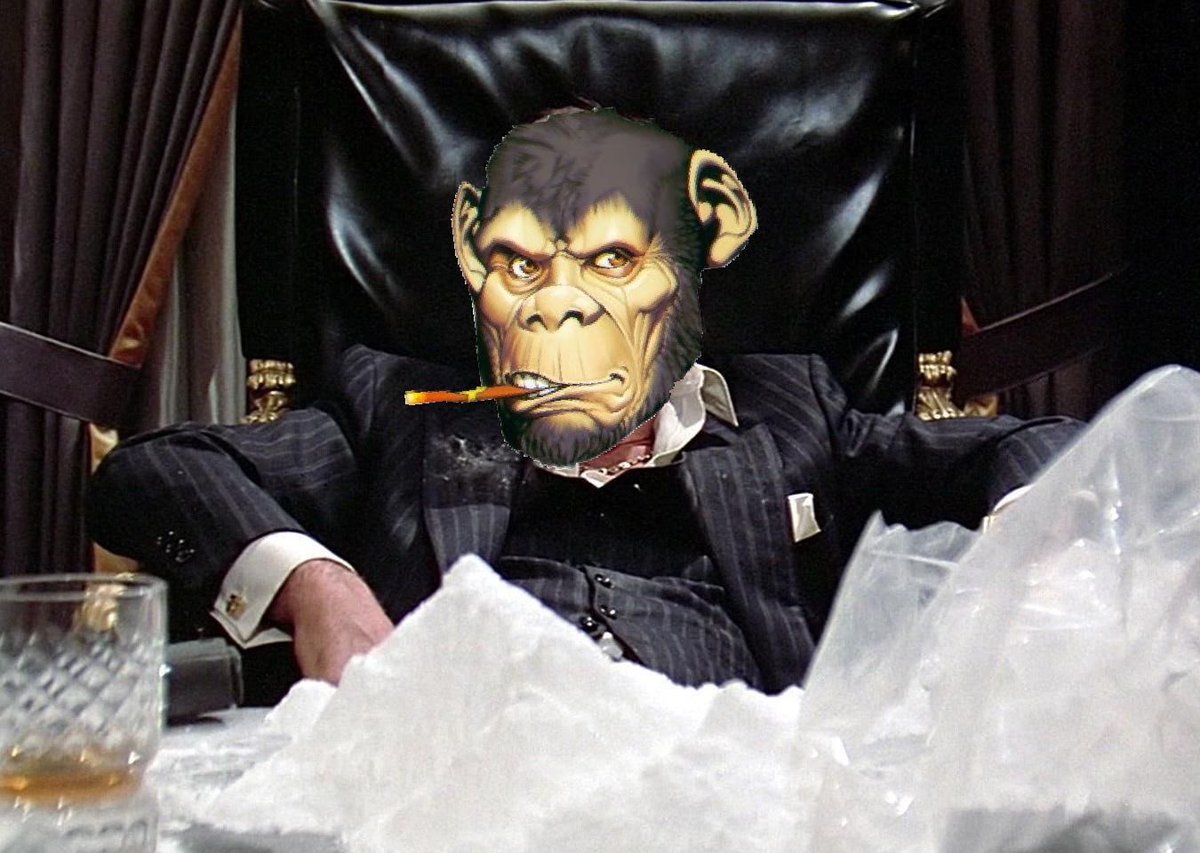 Apestarter's tweet photo. @Mecha_Kong King Kong mudafackas 🤍🕊️⬜️ https://t.co/vU2J02xDG4