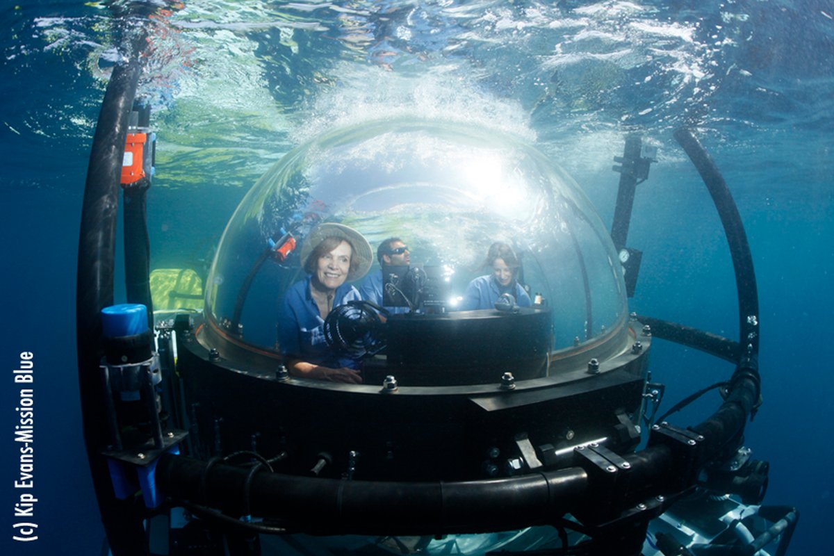 I think all children start out as explorers, and some of us never stop.