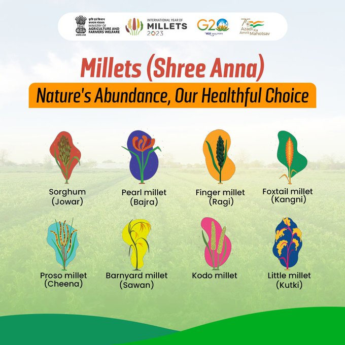 #IYM2023
Millets (Shree Anna)
Nature's Abundance, Our Healthful Choice
@IYM2023  @AgriGoI @RailMinIndia