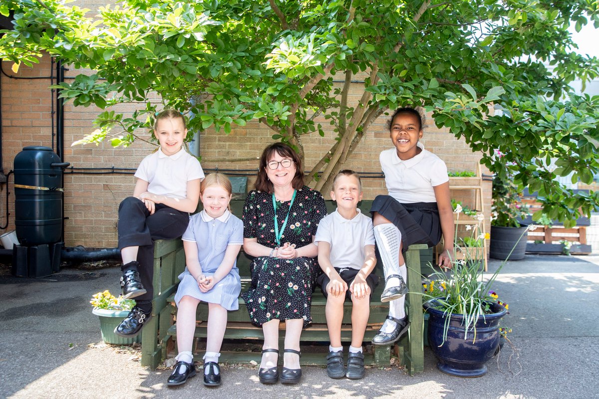 SaveOurStreetTrees tweet media