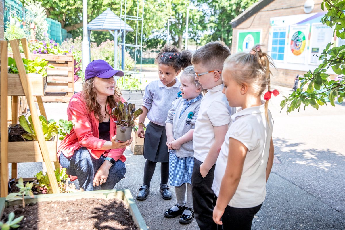 SaveOurStreetTrees tweet media