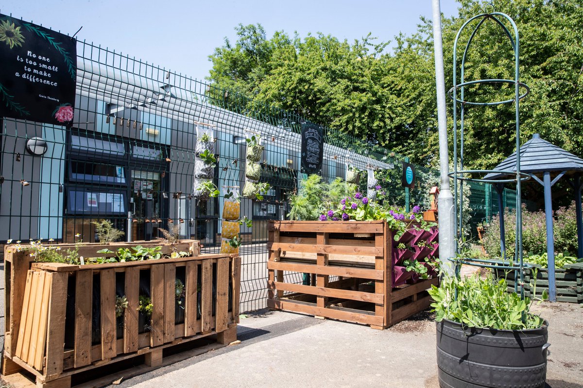 SaveOurStreetTrees tweet media