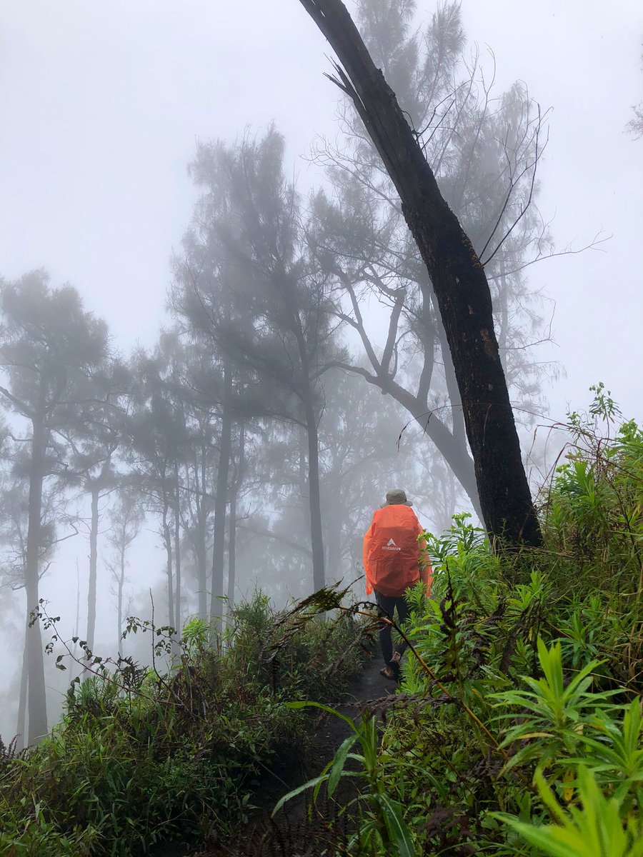 Adityaka tweet media