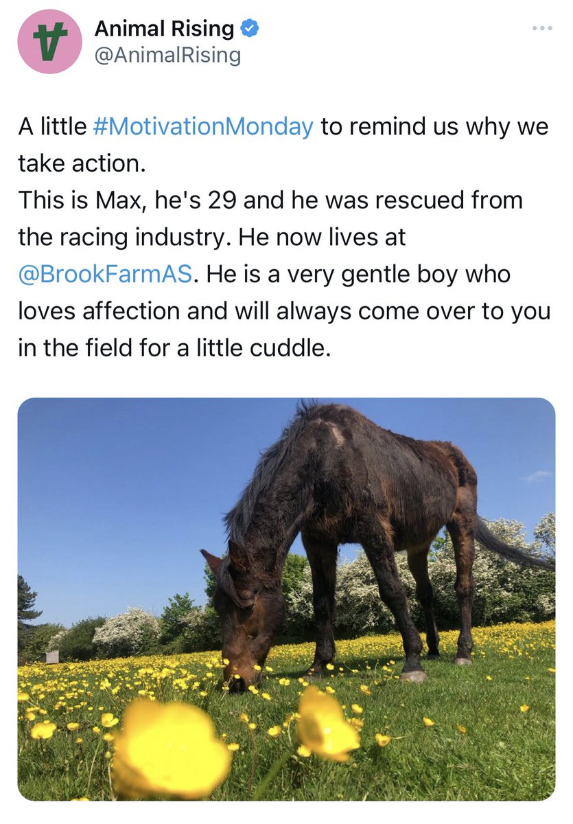 FOBRacing's tweet photo. 1/4 We know we shouldn’t engage with them but, if there are people not sure who to side with in this debate, this provides a perfect example 

See AR’s tweet from yesterday https://t.co/sGprLSJQQj