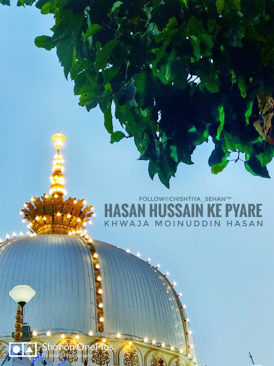 Chishtiya_Sehan's tweet photo. Hazrat Khwaja Moinuddin Hasan Chishty #AjmerDargah #kgn #chishtiya_sehan https://t.co/zs0p3KPrV4