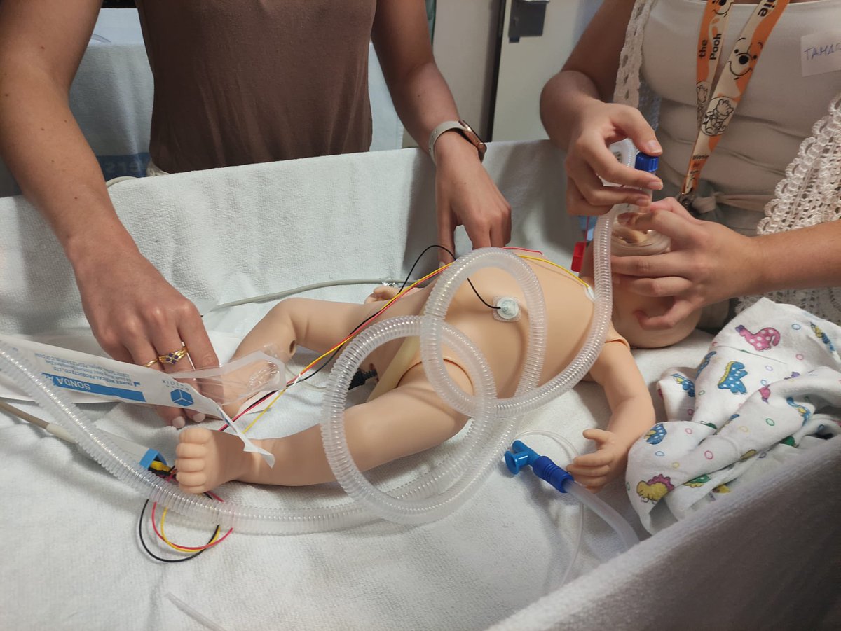 Area2Cartagena's tweet photo. Taller de estabilización neonatal impartido por María Olmo y Cristina Gómez en el Hospital Santa Lucía.
Dirigido a nuestros residentes de Enfermería y Medicina de las especialidades de Pediatría y Ginecología-Obstetricia. Formación en @Area2Cartagena 
@Murciasalud https://t.co/W2YV1neCmA