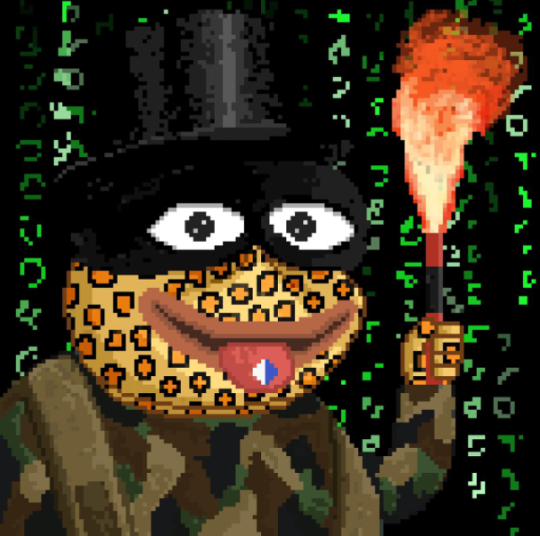 catguy_sol's tweet photo. #NewProfilePicture #NewProfilePic I am so happy to be #linkpilled with my new @ltoadnft . I think this rank 37 is a literal bargain. #NFT #chainlink @SergeyNazarov @Galaxisxyz https://t.co/txbfihQ0Oz