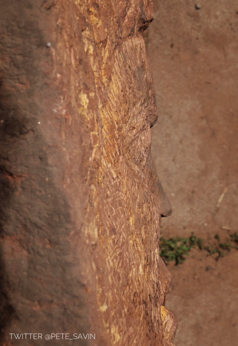 Pete Savin tweet media