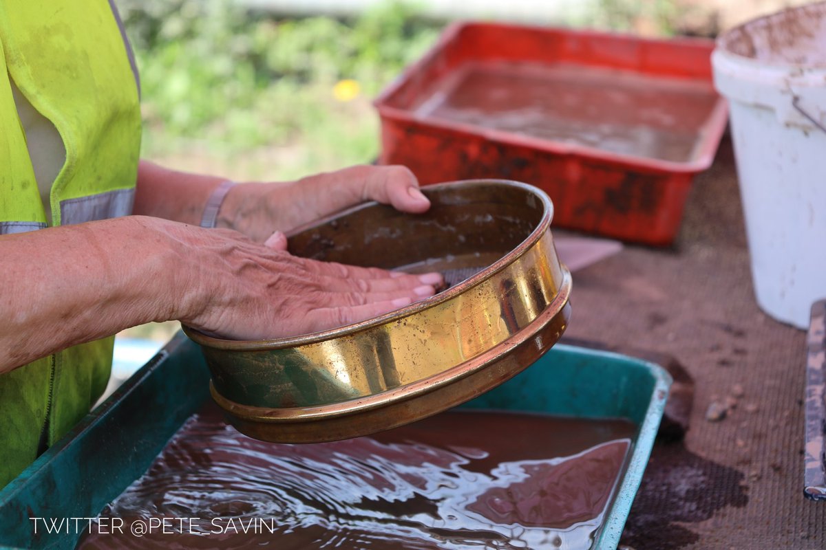 Pete Savin tweet media