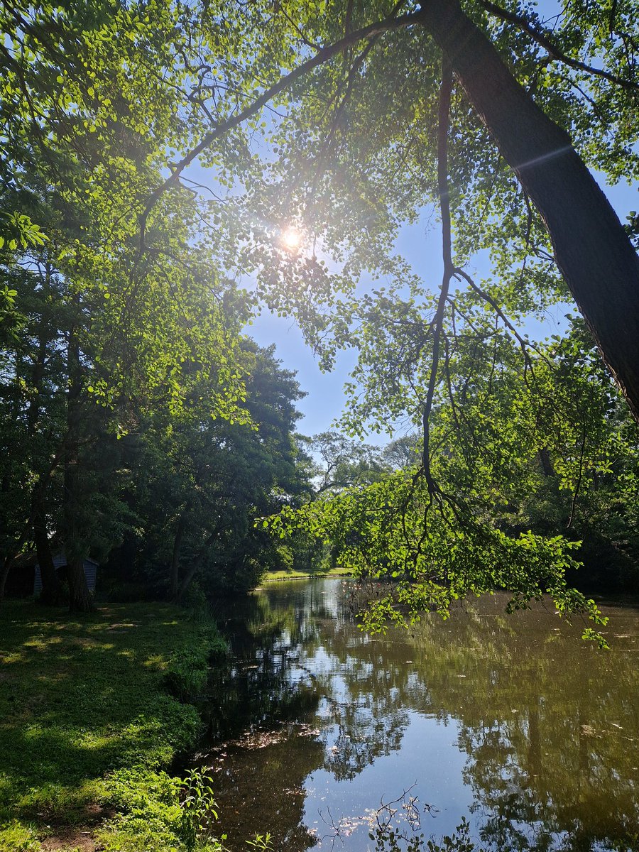 Painshill's tweet photo. Wow, what a spectacular morning it is at Painshill🤩

So lovely to see visitors enjoying Painshill members' only early opening today☀️

Have a great Tuesday!😀

🎟 https://t.co/1A0LOAKWht 

#MembersOnly #EarlyOpening #Surrey https://t.co/HqVLL3jir3