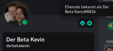 DerBetaKevin's tweet photo. @DiscordPreviews FINALLY! https://t.co/fX6QuAV5I7