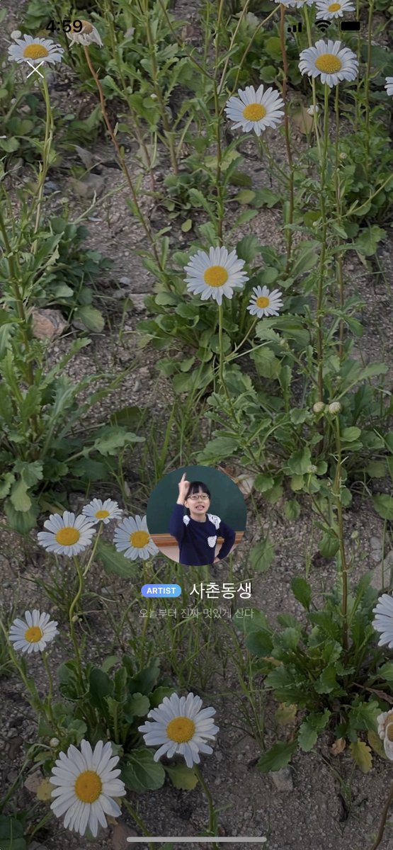 kanggo56's tweet photo. 아니 현생사는데 갑자기 사촌동생한테 버블와서 뭐지했는데 오해원 상황극하고있음 https://t.co/AAinhh6wjB